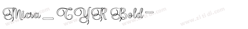 Micra_CYR Bold字体转换